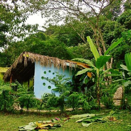Отель Casa Caracol Сан-Луис-Потоси Экстерьер фото
